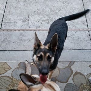 Meet your Posher, Meredith